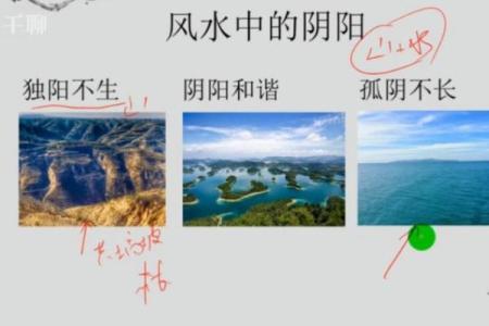 商业风水中商铺布局的五大原则