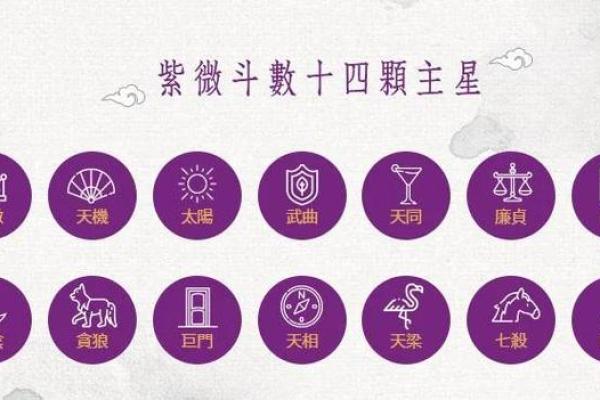 紫薇斗数里青龙是什么意思