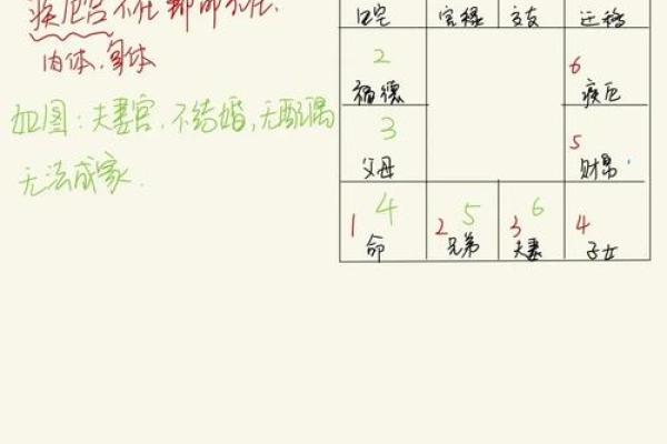 紫微斗数爱好 紫微斗数 性格？