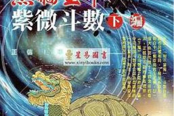 紫薇斗数传人