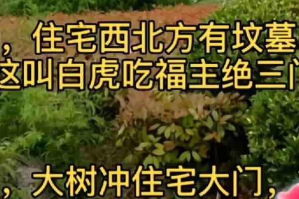 住宅风水对家人的影响都有哪些