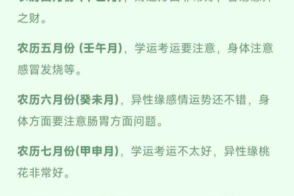 八字乙巳日