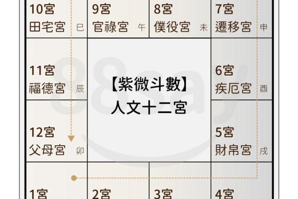 紫薇斗数看月运