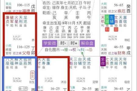 2000年紫薇斗数