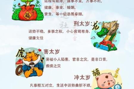 风水知识一点通！躲星与犯太岁的区别