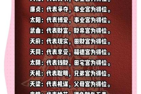 紫薇斗数天府星入十二宫