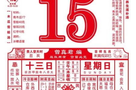 八字乙巳日