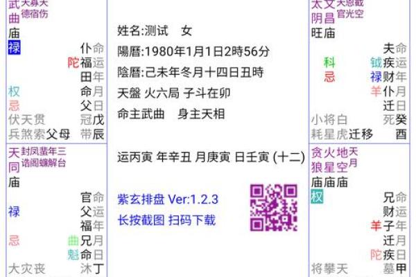 紫薇斗数全解PDF的简单介绍
