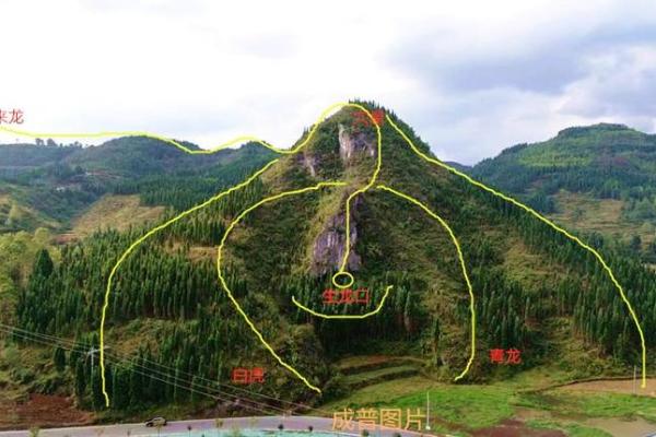 风水学中什么朝向的墓最好
