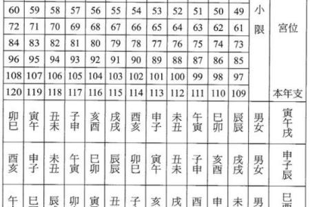紫薇斗数排盘易安