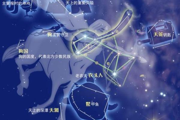 人马哪个星座最好