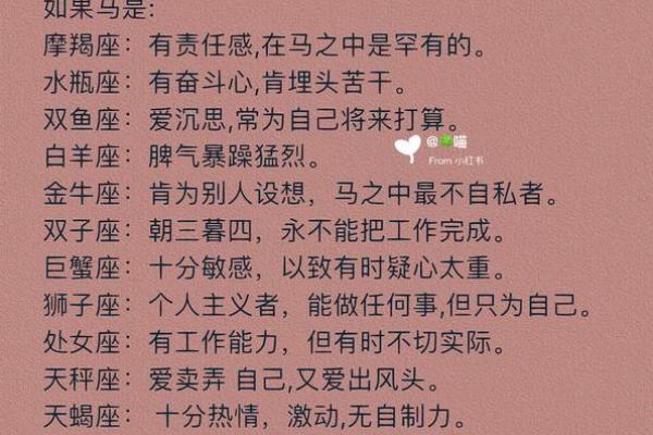 人马哪个星座最好