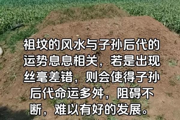 墓地风水会影响子孙后代