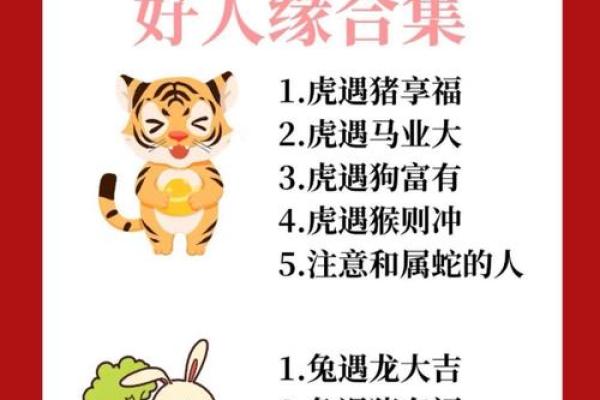 属蛇的人和属鸡的人是不是八字相合？和谁更有缘分？