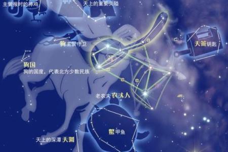 人马哪个星座最好