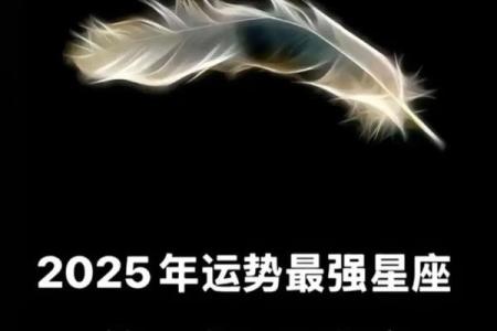 双鱼座明日运势最准星座