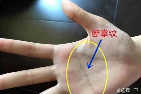断掌纹看相算命图解