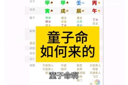 什么八字是童子命 , 童子命的性格特征