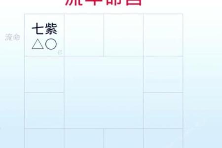 紫薇斗数流年学历