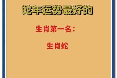 属蛇的人和属鸡的人是不是八字相合？和谁更有缘分？