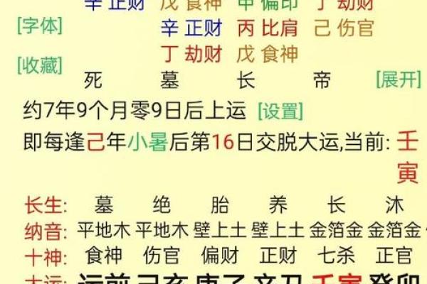 己亥生辰八字详解大全女命