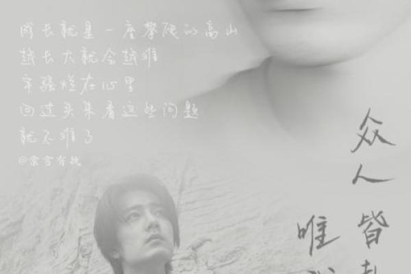 肖战紫薇斗数