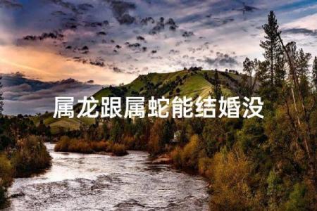 八字合婚属蛇的女人和属蛇男能结婚吗 有没有姻缘