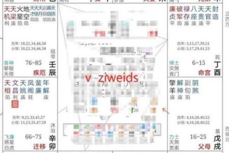 紫薇星盘看姻缘免费