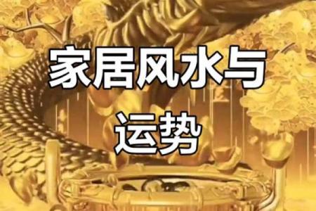 如何通过调节家居风水，来提升家中男主人的财运呢？