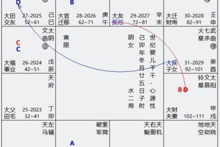 紫薇斗数盘每排文字代表什么