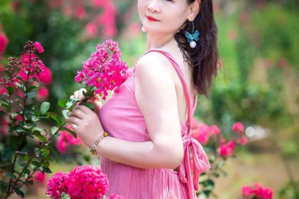 美女的紫薇斗数