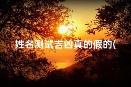 微信名吉凶测试评分