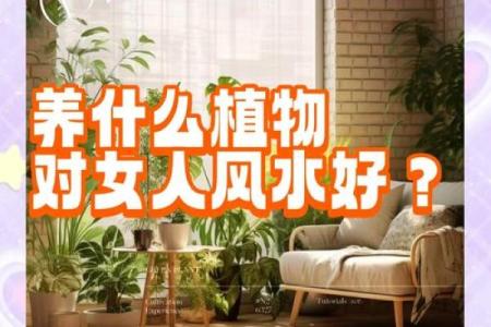 必须知道的风水植物优点有哪些？