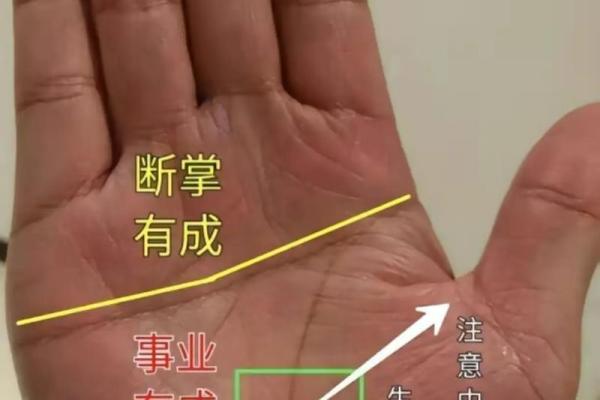 手相图解大全女 右手 算命 手掌红润柔软