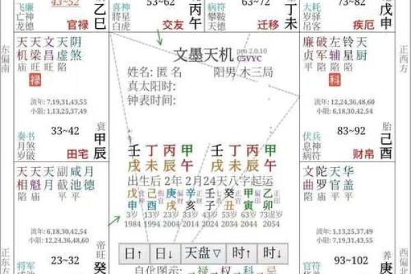 孤儿的紫薇斗数