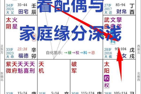 紫薇斗数宫主
