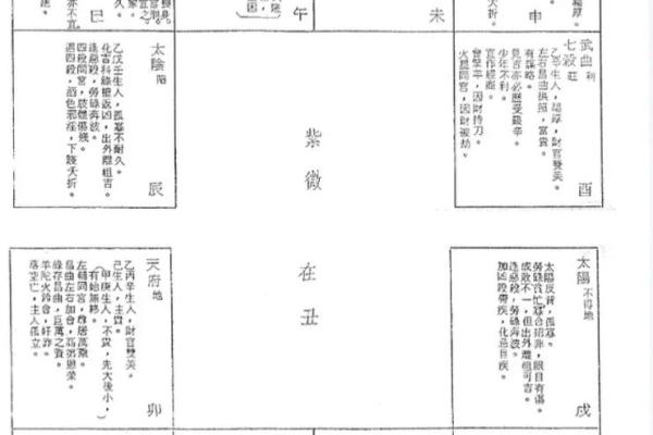 紫微斗数命盘解析：十二宫位