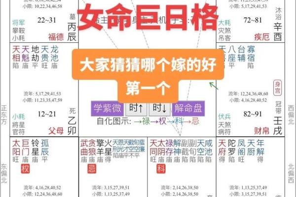紫薇斗数命主什么意思