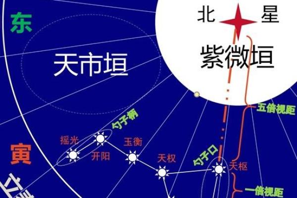 皮肤白紫薇斗数