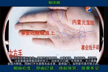 手相图解大全女 右手 算命 手掌红润柔软