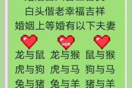 十二生肖配对算命 配婚姻八字十二生肖免费