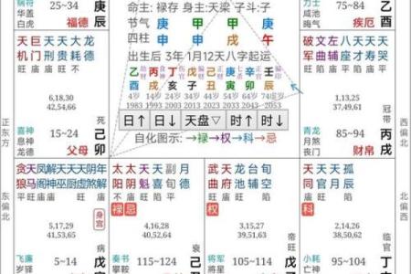 紫薇斗数推荐大师