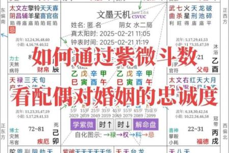 紫微斗数看未来配偶学历 紫微斗数看另一半学历？