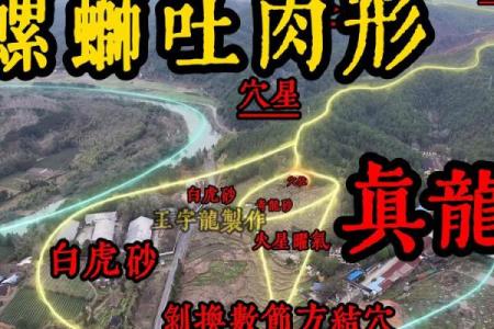 怎么看阴宅风水宝地，记住四点