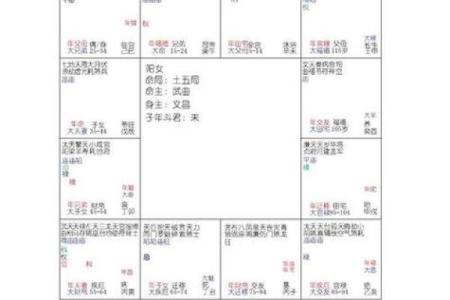 紫薇斗数的小限指的什么