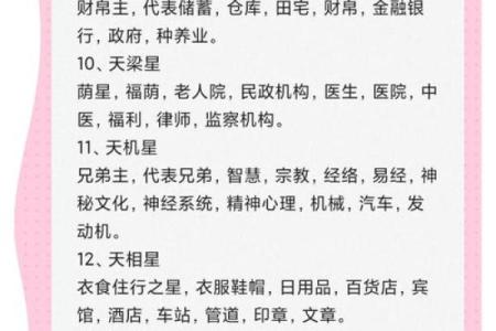 加紫薇斗数术语