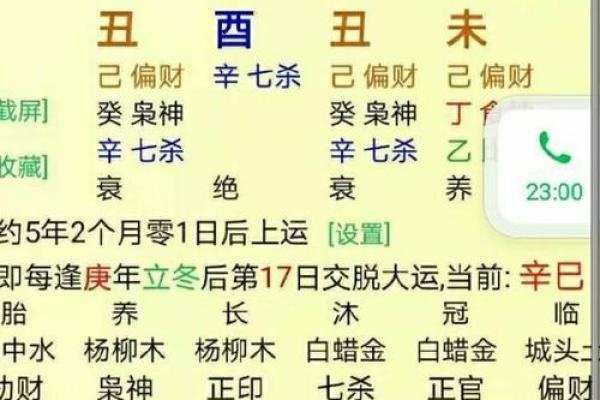 在哪里学八字算命