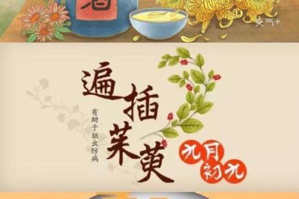 今日重阳：重阳风水，敬老的宜忌