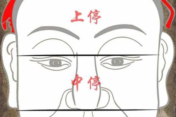 相貌宫紫薇斗数
