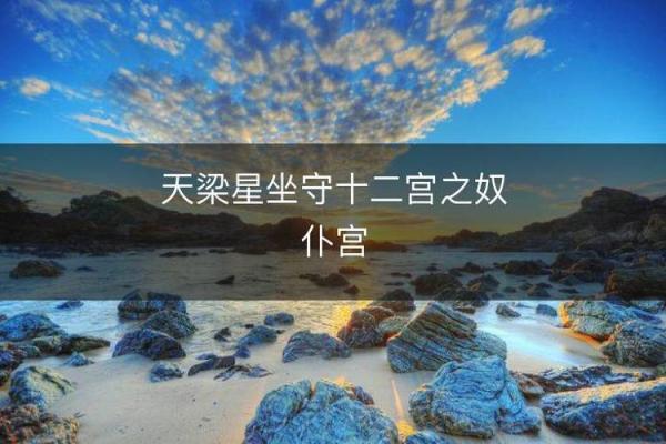 紫微斗数诸星落诸宫之:天梁星奴仆宫详解 紫微斗数诸星落诸宫之:天梁星奴仆宫详解